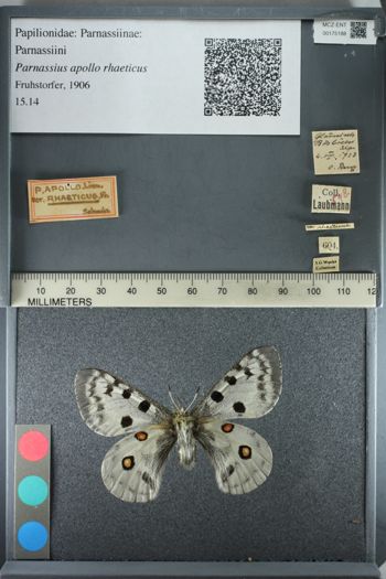 Media type: image;   Entomology 175188